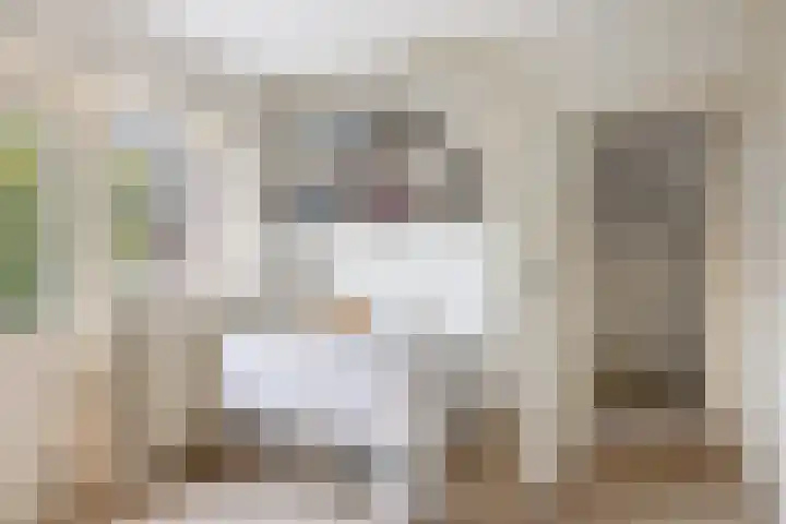 Van Lippe Biesterfeldstraat 24 Utrecht thumbnail 29