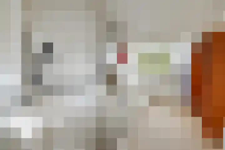 Van Lippe Biesterfeldstraat 24 Utrecht thumbnail 31