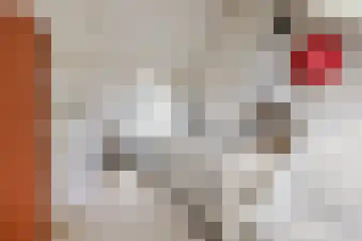 Van Lippe Biesterfeldstraat 24 Utrecht thumbnail 33