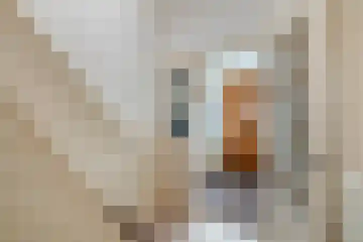 Van Lippe Biesterfeldstraat 24 Utrecht thumbnail 8