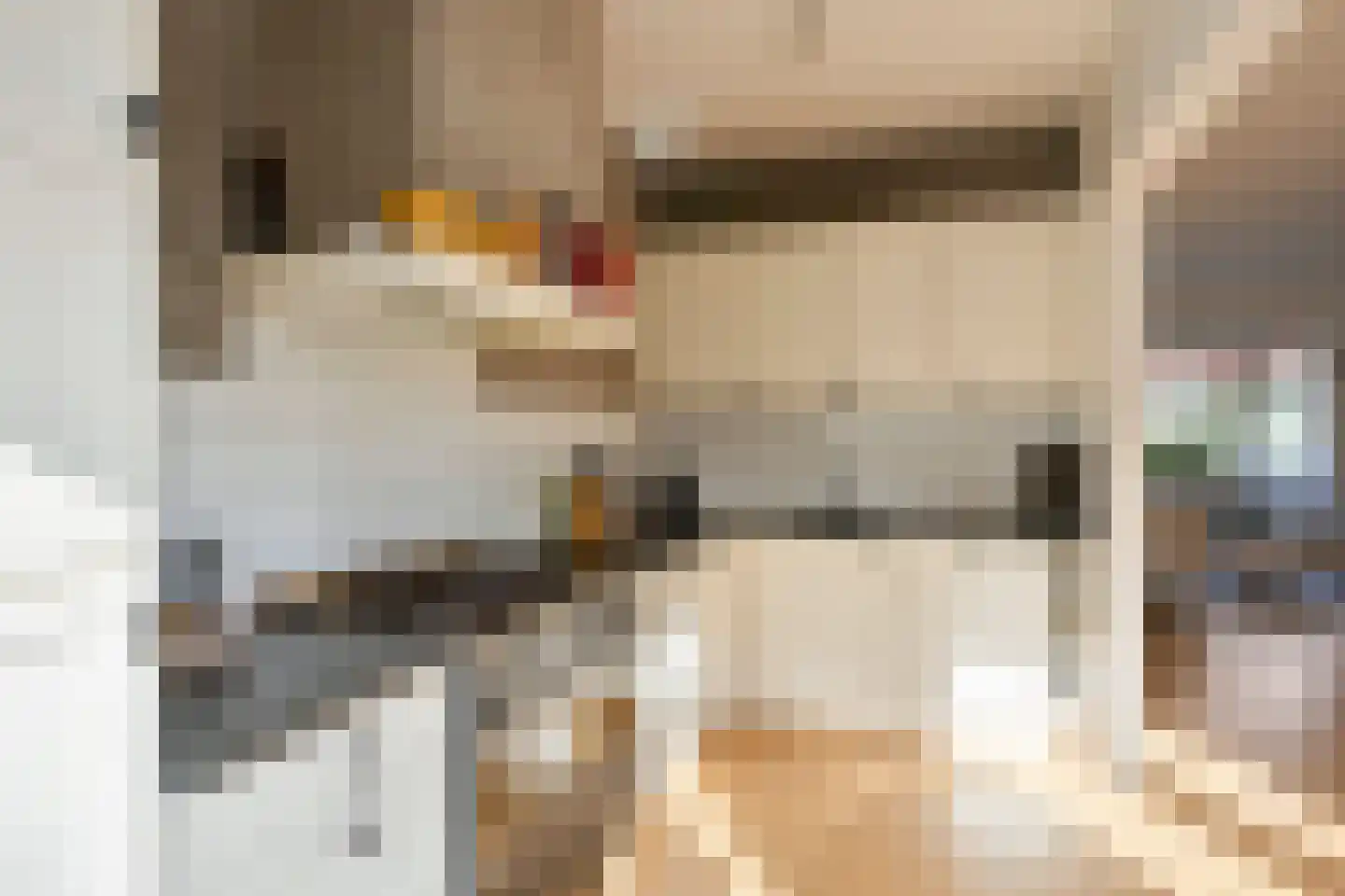 van Löben Selsstraat 14 Zutphen thumbnail 10