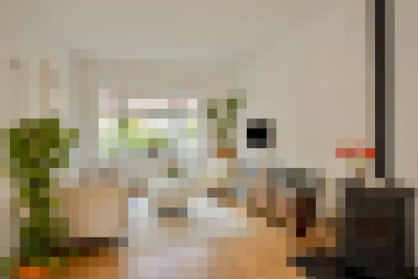 van Löben Selsstraat 14 Zutphen thumbnail 4