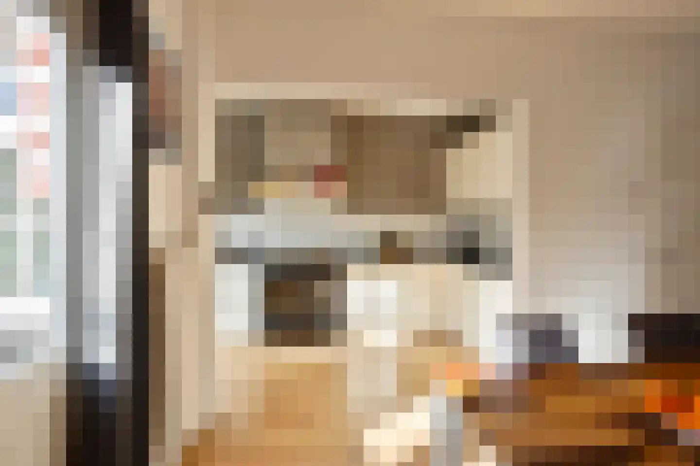 van Löben Selsstraat 14 Zutphen thumbnail 9