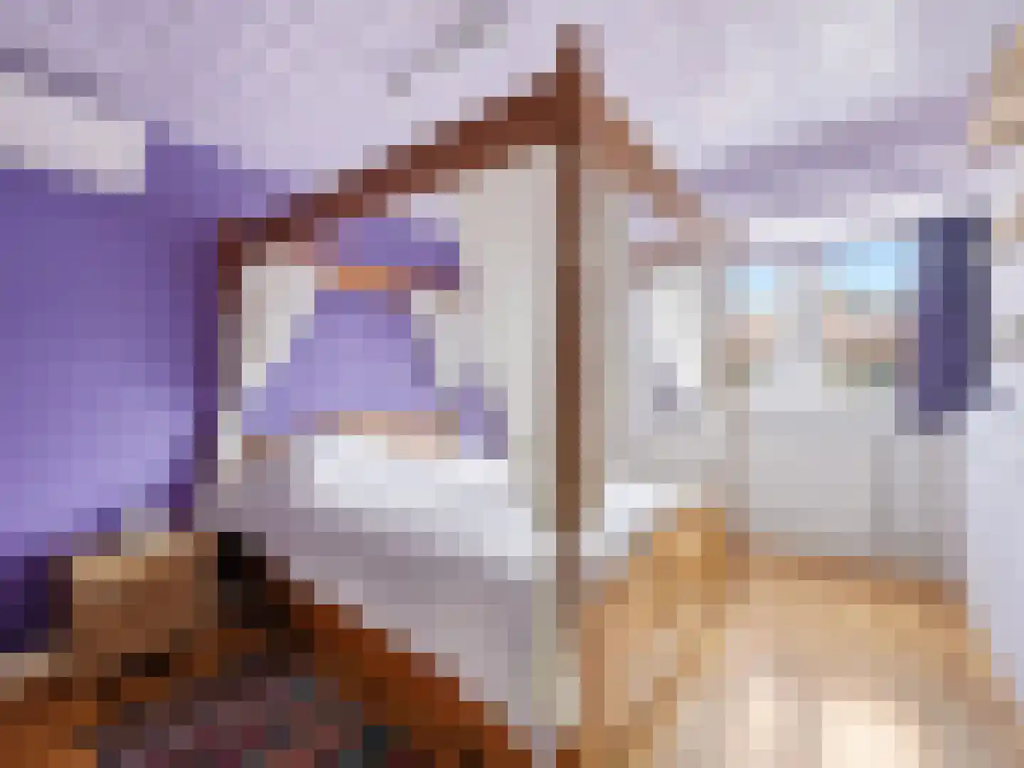 van Löben Selsstraat 5 Zutphen thumbnail 12