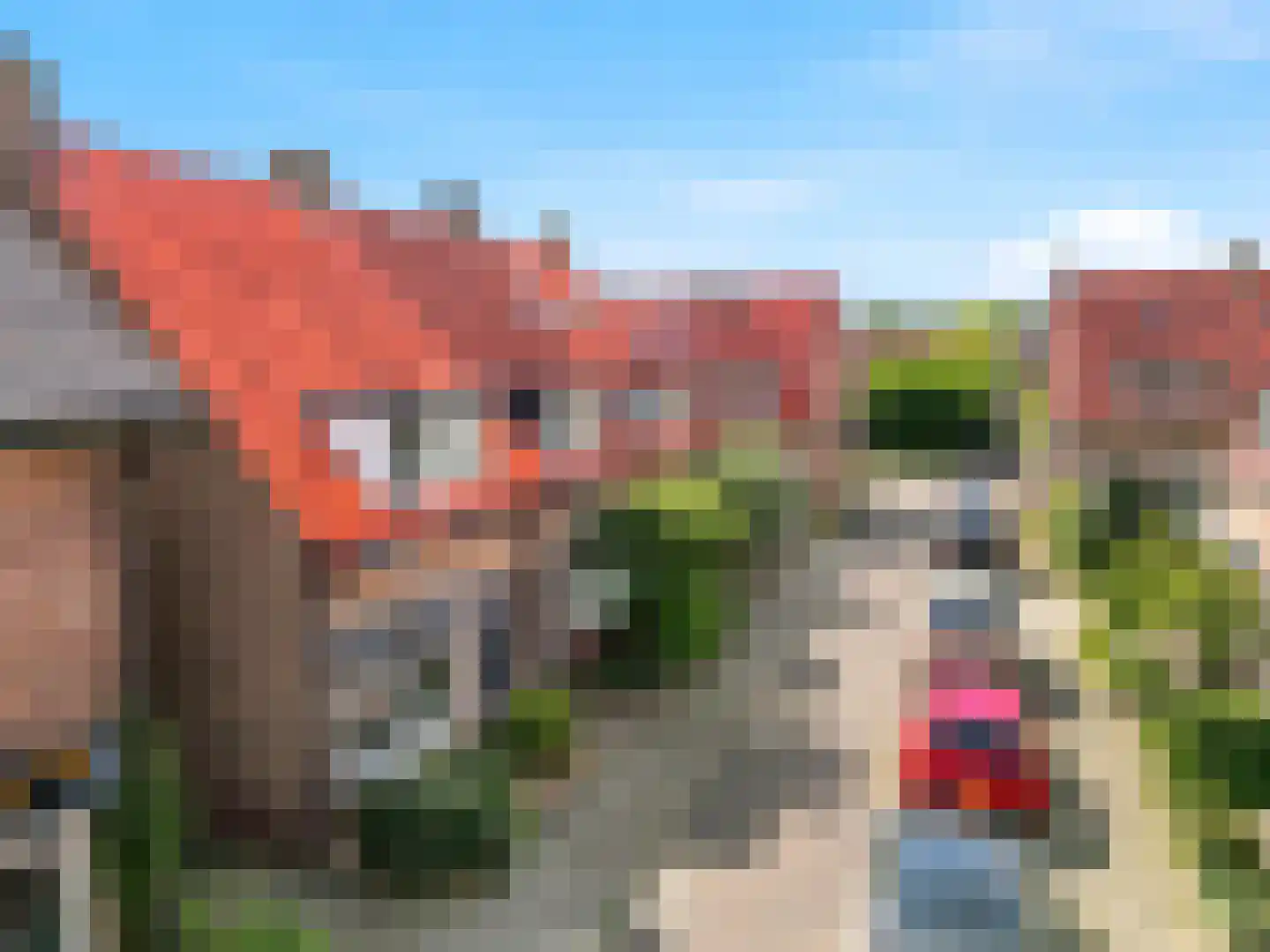 van Löben Selsstraat 5 Zutphen thumbnail 22