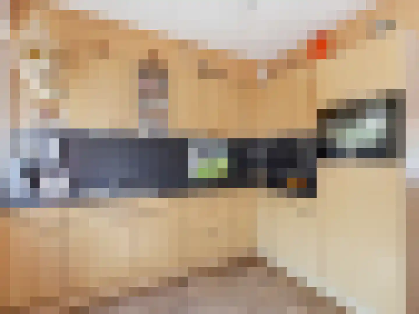 van Löben Selsstraat 5 Zutphen thumbnail 8