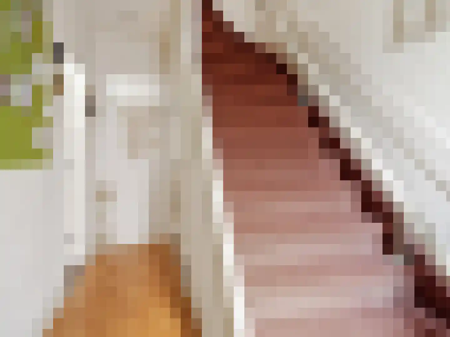 van Löben Selsstraat 5 Zutphen thumbnail 9