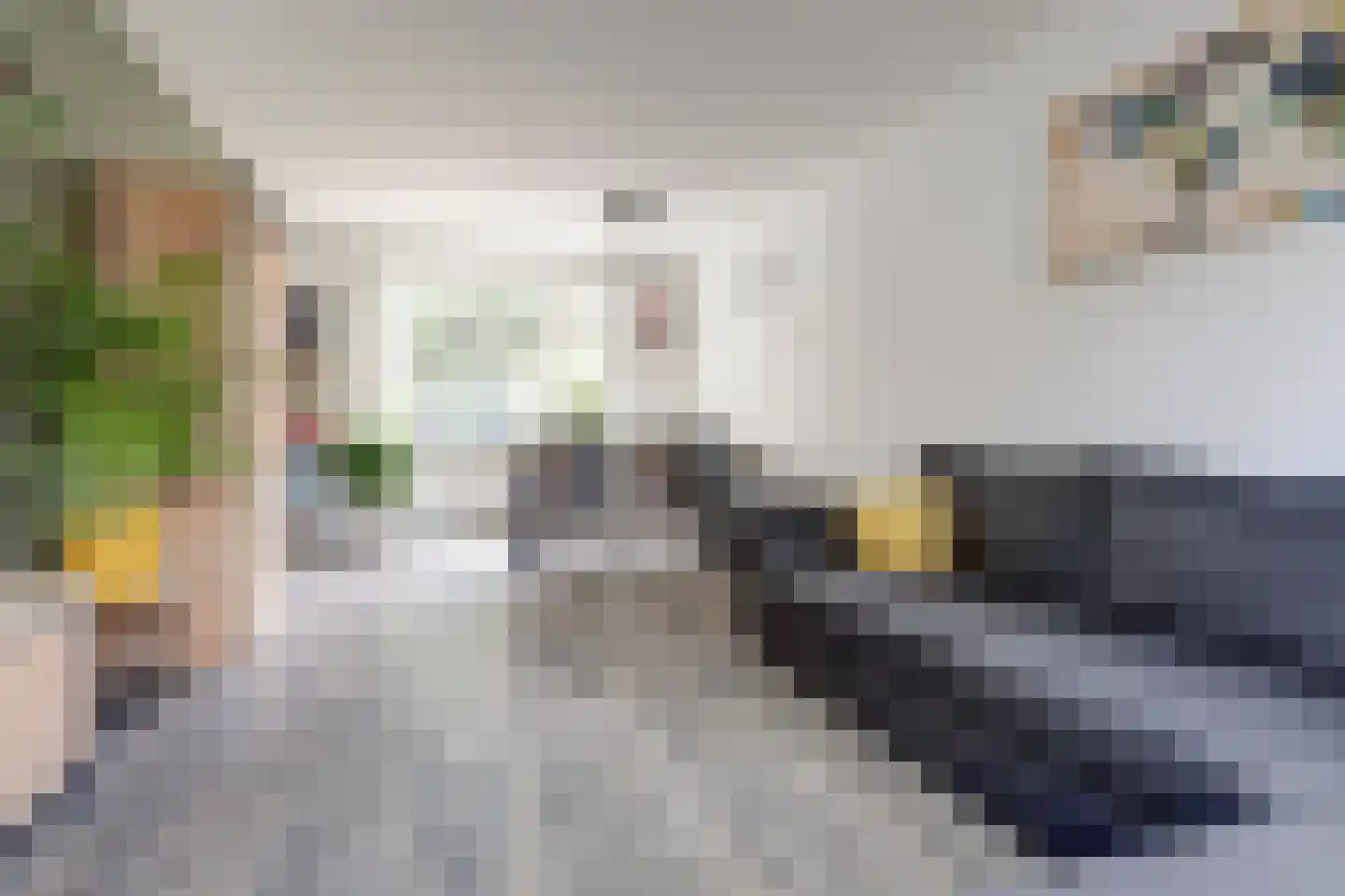 van Lockhorststraat 10 De Lier thumbnail 12