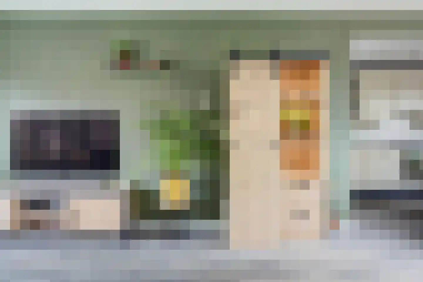 van Lockhorststraat 10 De Lier thumbnail 13