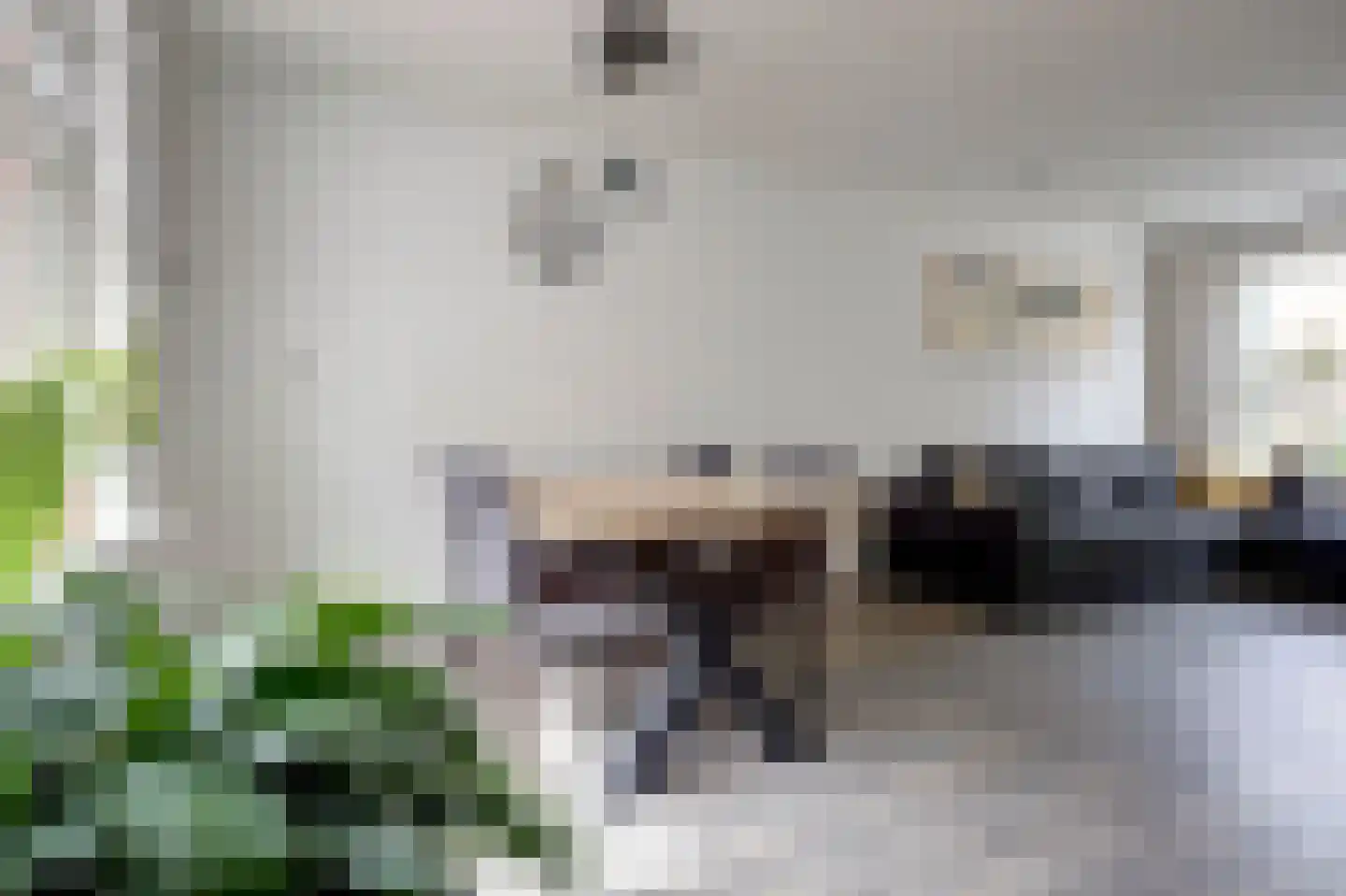 van Lockhorststraat 10 De Lier thumbnail 14