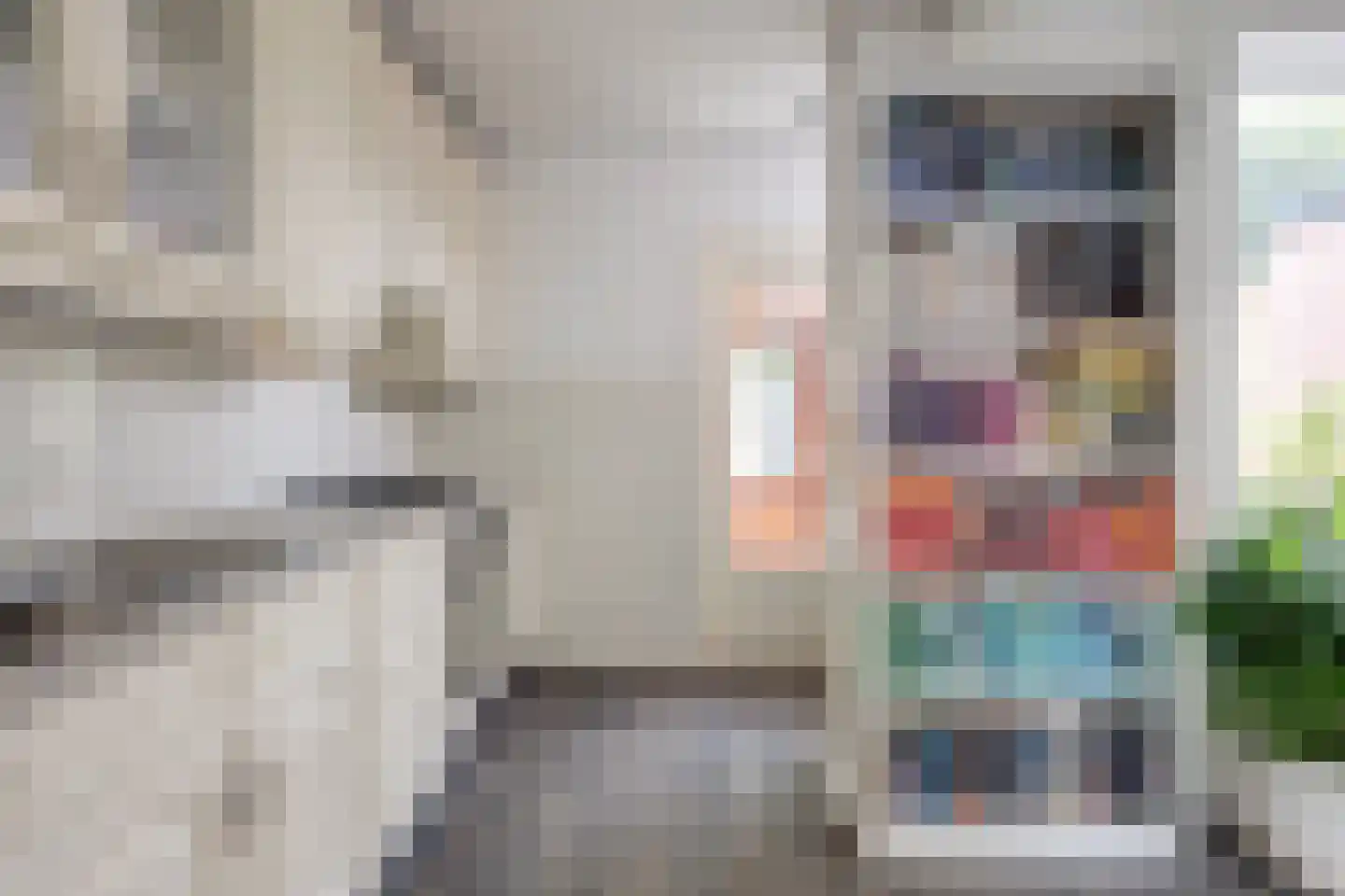 van Lockhorststraat 10 De Lier thumbnail 16