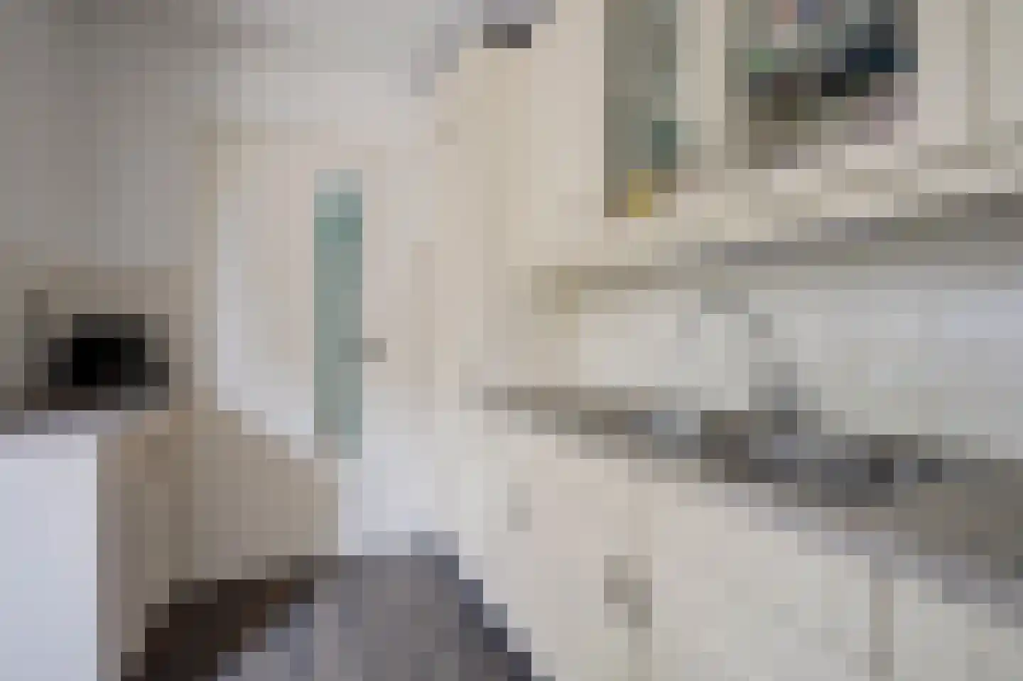 van Lockhorststraat 10 De Lier thumbnail 17