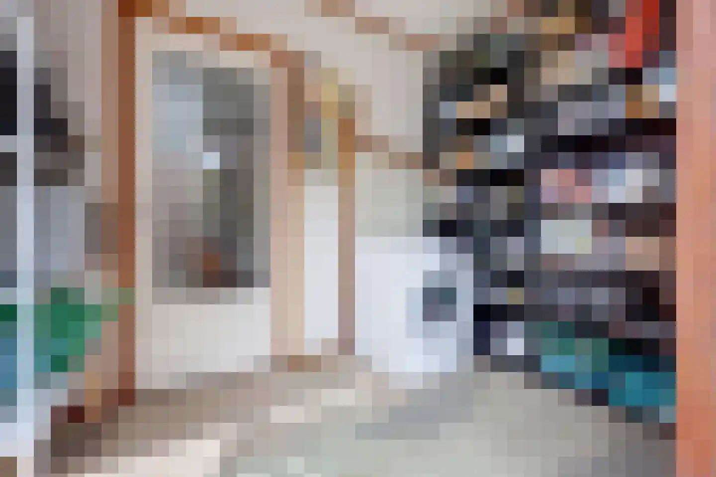 van Lockhorststraat 10 De Lier thumbnail 20
