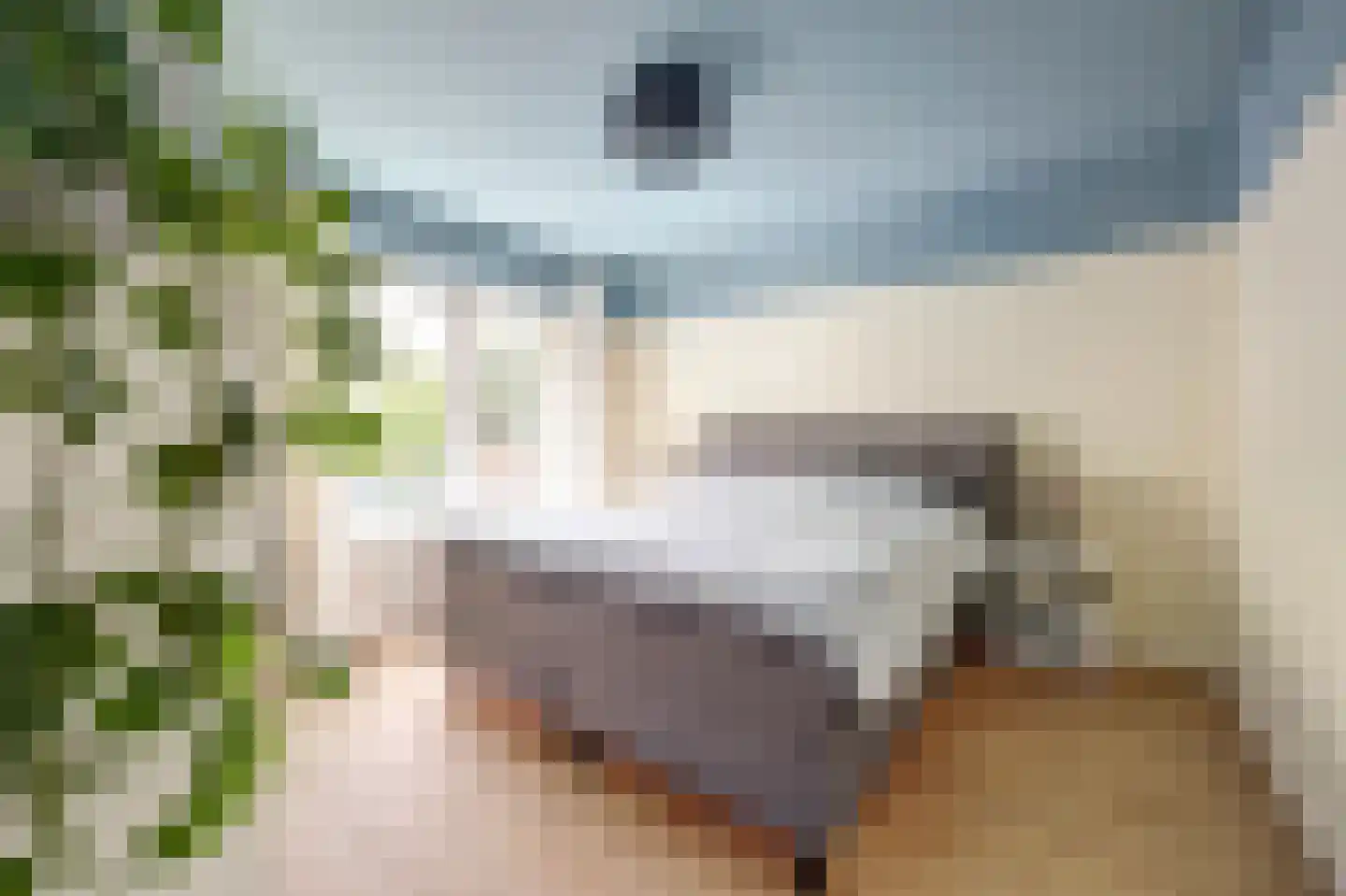 van Lockhorststraat 10 De Lier thumbnail 23