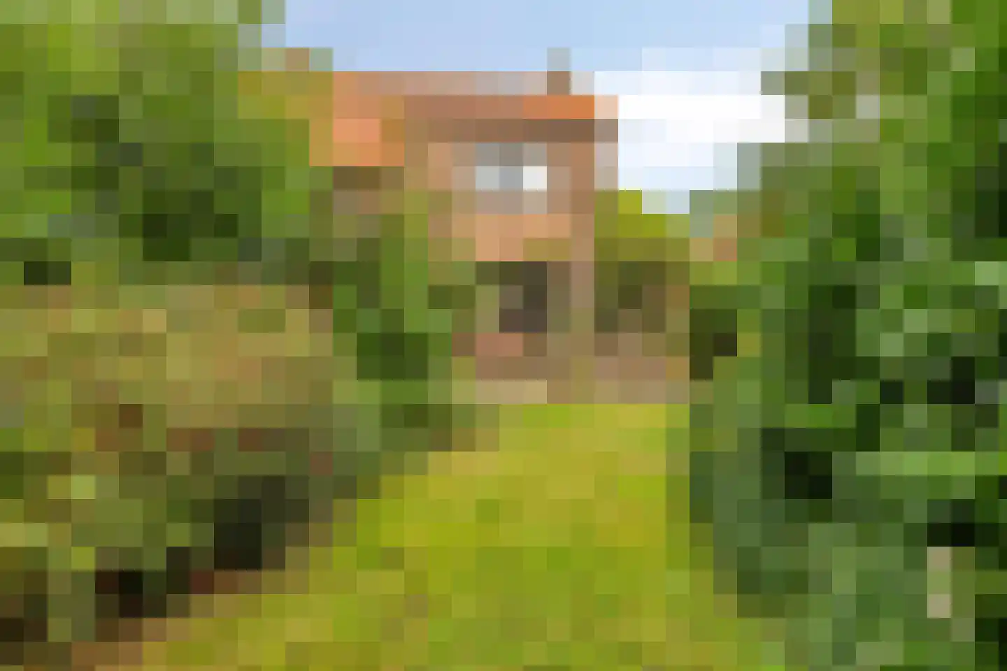 Van Lockhorstweg 29 Kockengen thumbnail 14
