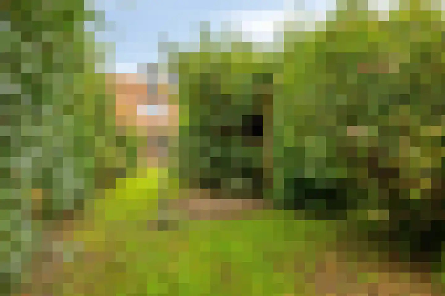 Van Lockhorstweg 29 Kockengen thumbnail 30