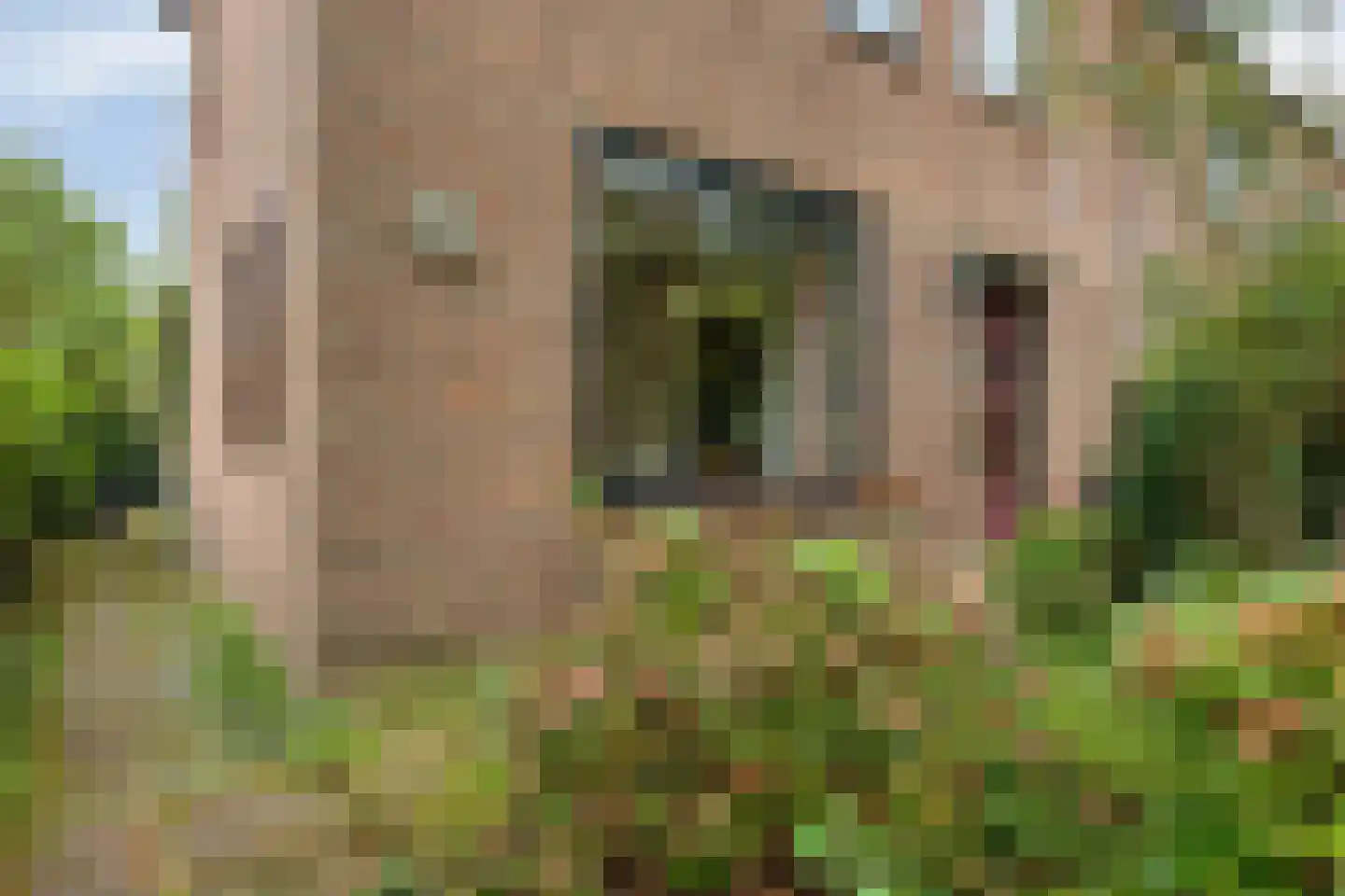 Van Lockhorstweg 29 Kockengen thumbnail 31