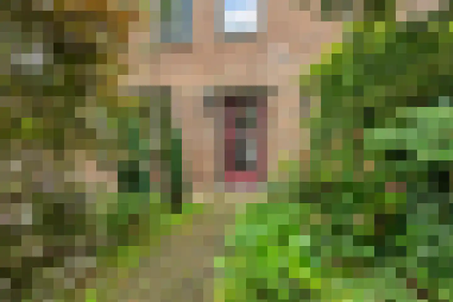 Van Lockhorstweg 29 Kockengen thumbnail 32