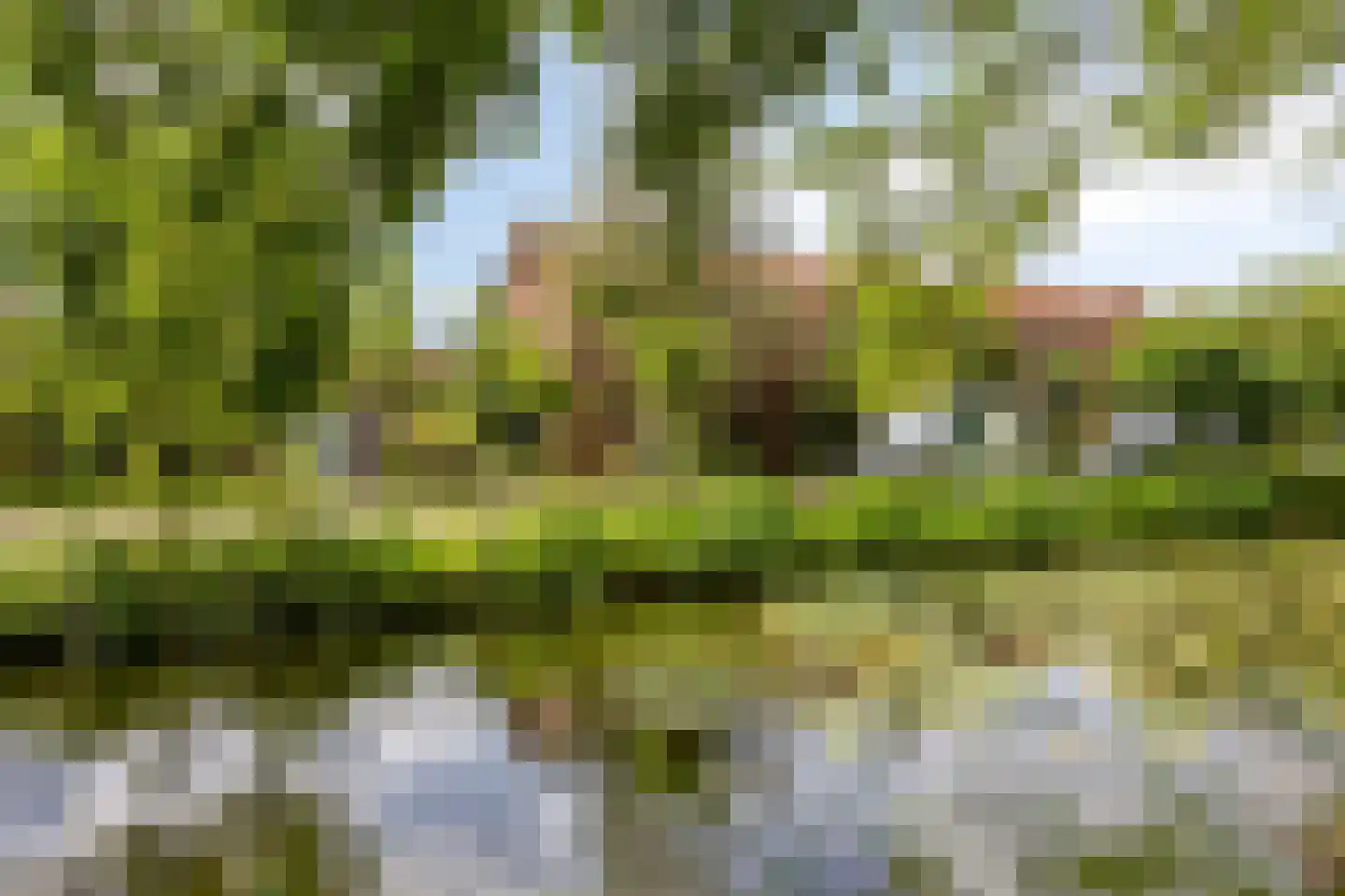 Van Lockhorstweg 29 Kockengen thumbnail 33