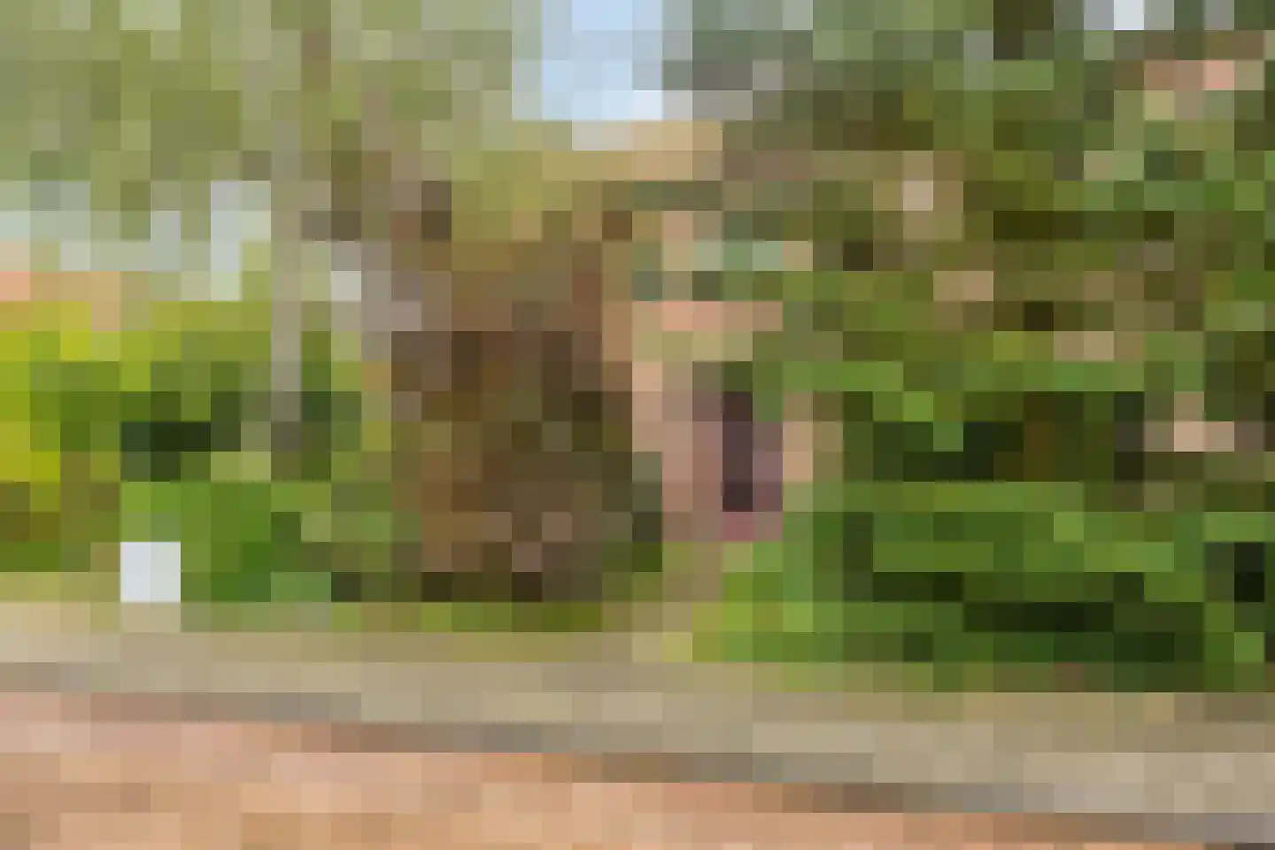 Van Lockhorstweg 29 Kockengen thumbnail 34