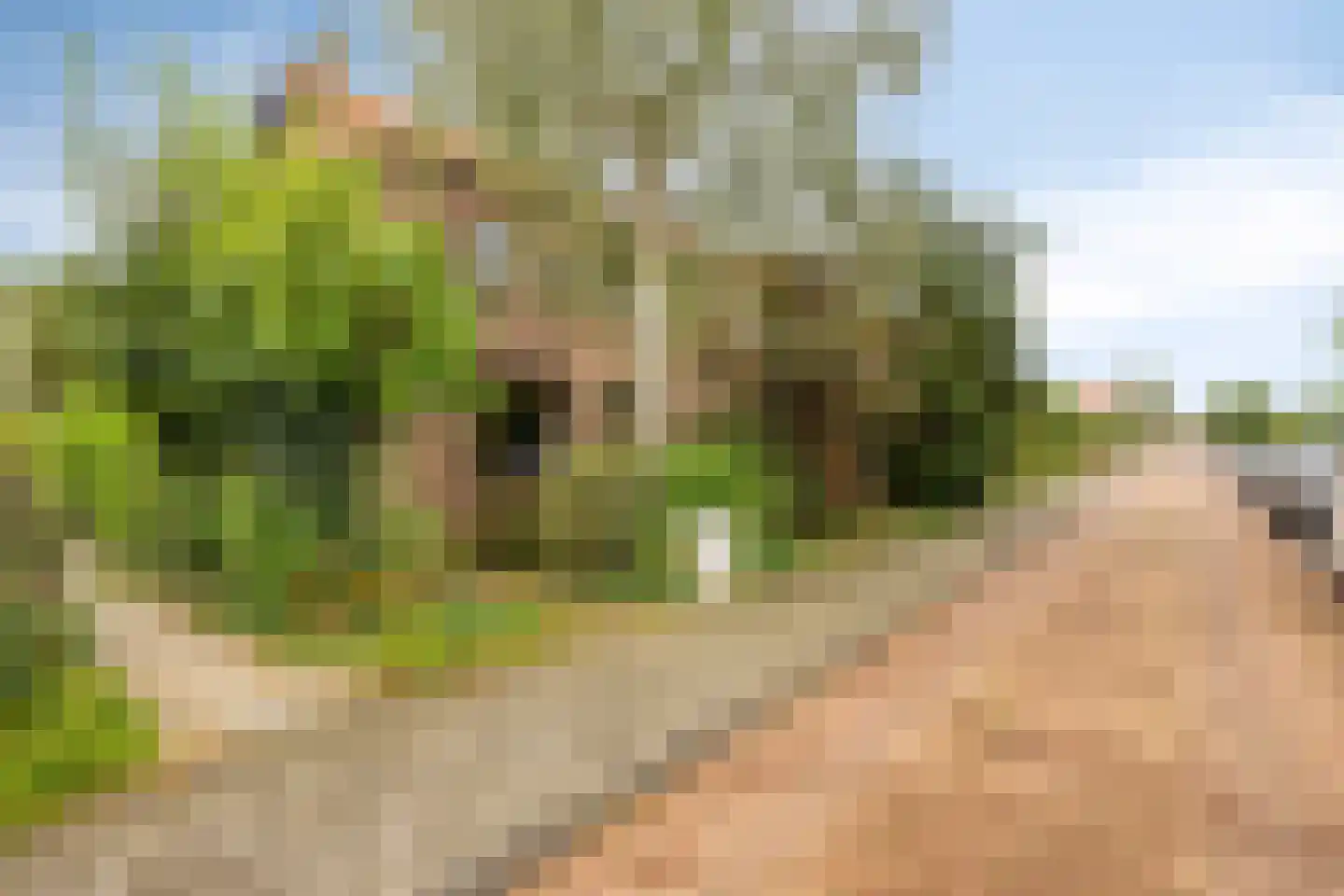 Van Lockhorstweg 29 Kockengen thumbnail 35