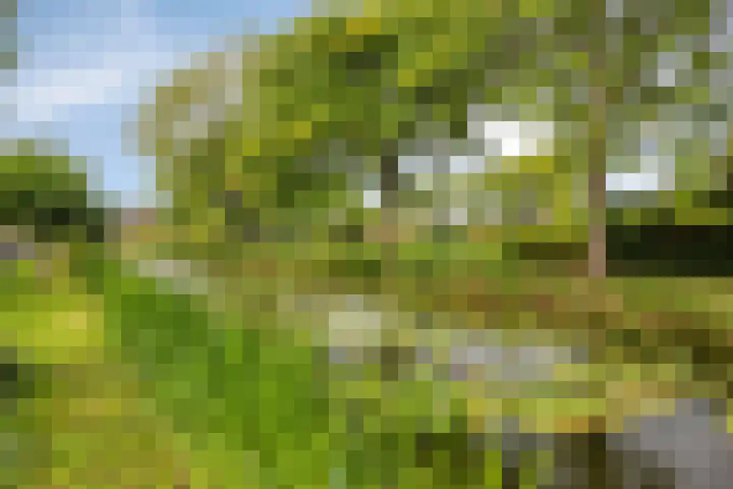 Van Lockhorstweg 29 Kockengen thumbnail 37