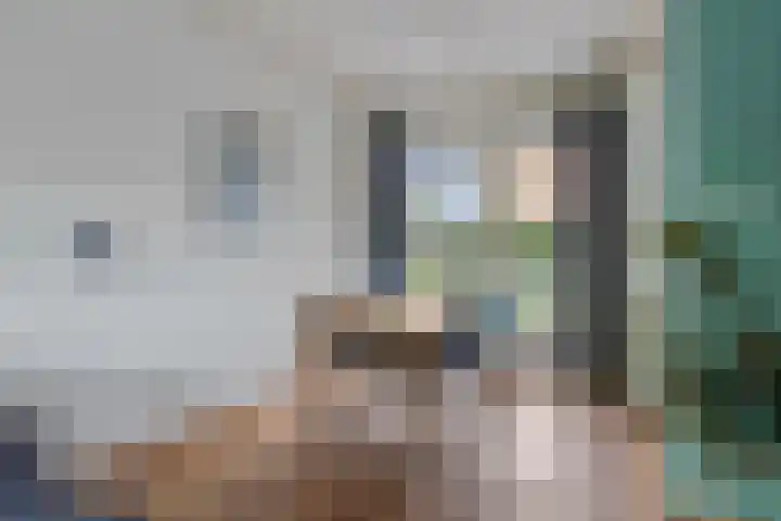 Van Loëstraat 11 Gemert thumbnail 14