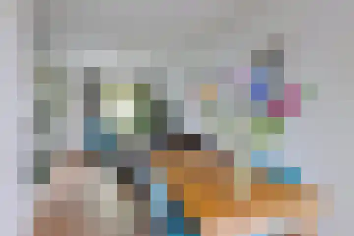 Van Loëstraat 11 Gemert thumbnail 15