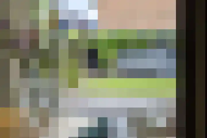 Van Loëstraat 11 Gemert thumbnail 16