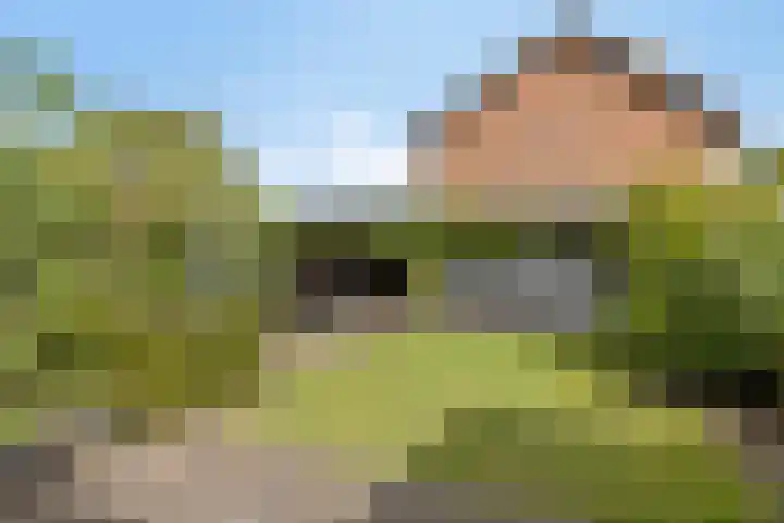 Van Loëstraat 11 Gemert thumbnail 31