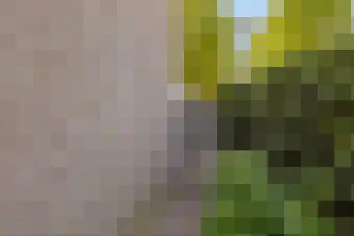 Van Loëstraat 11 Gemert thumbnail 35
