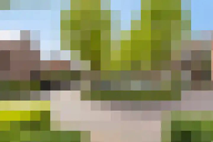Van Loëstraat 11 Gemert thumbnail 38