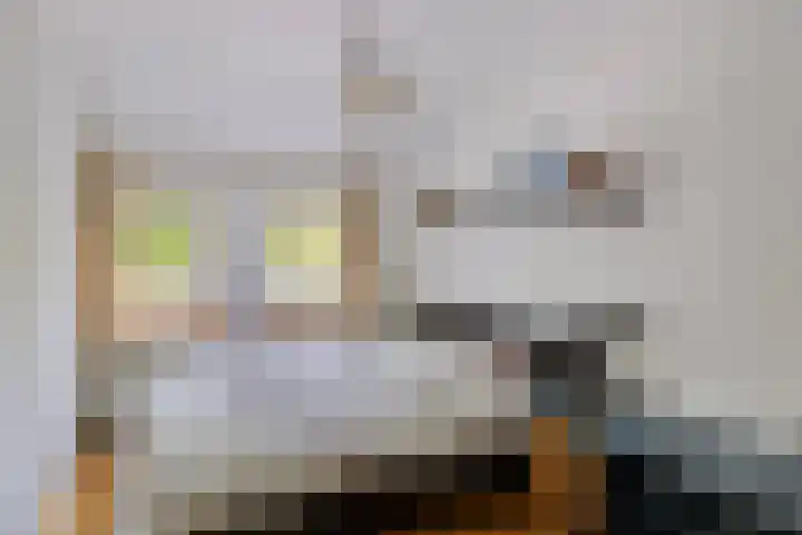 Van Loëstraat 11 Gemert thumbnail 4