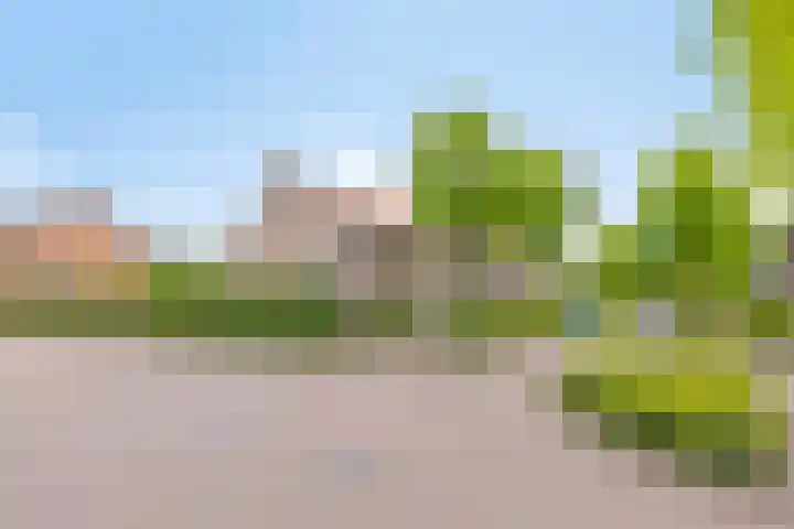 Van Loëstraat 11 Gemert thumbnail 9