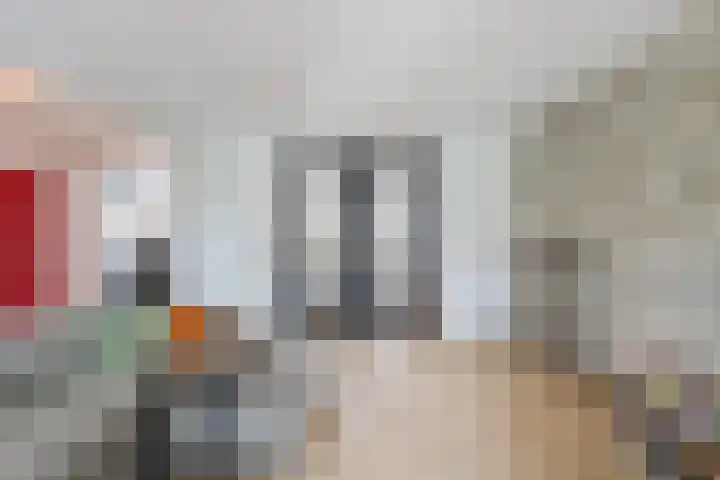 Van Loëstraat 32 Gemert thumbnail 10