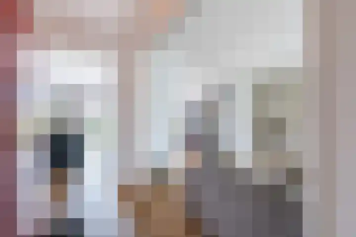 Van Loëstraat 32 Gemert thumbnail 13