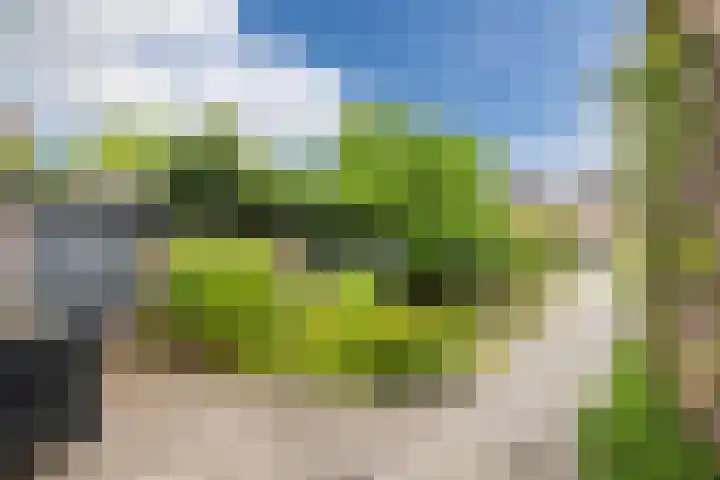 Van Loëstraat 32 Gemert thumbnail 27