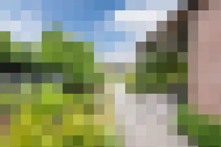 Van Loëstraat 32 Gemert thumbnail 28