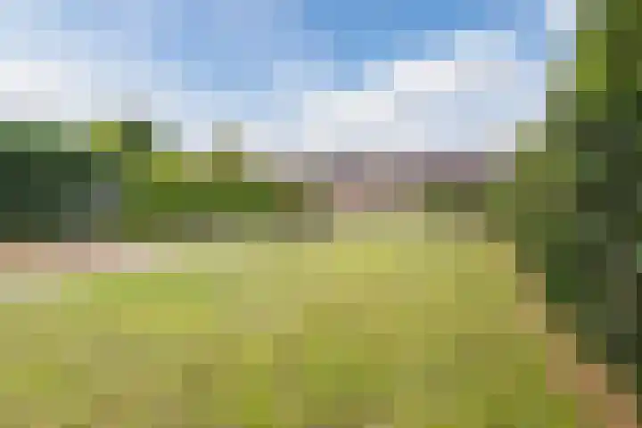 Van Loëstraat 32 Gemert thumbnail 32