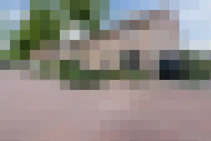 Van Loëstraat 32 Gemert thumbnail 43