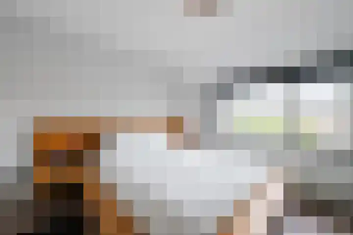 Van Loëstraat 32 Gemert thumbnail 5
