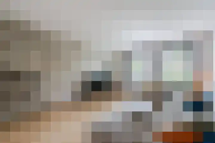 Van Loëstraat 32 Gemert thumbnail 8