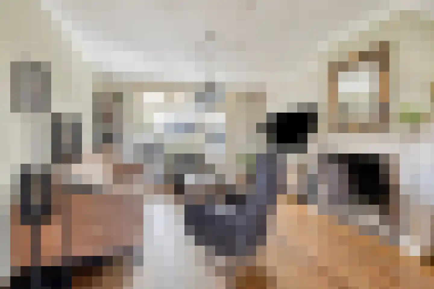 Van Loëstraat 33 Gemert thumbnail 11