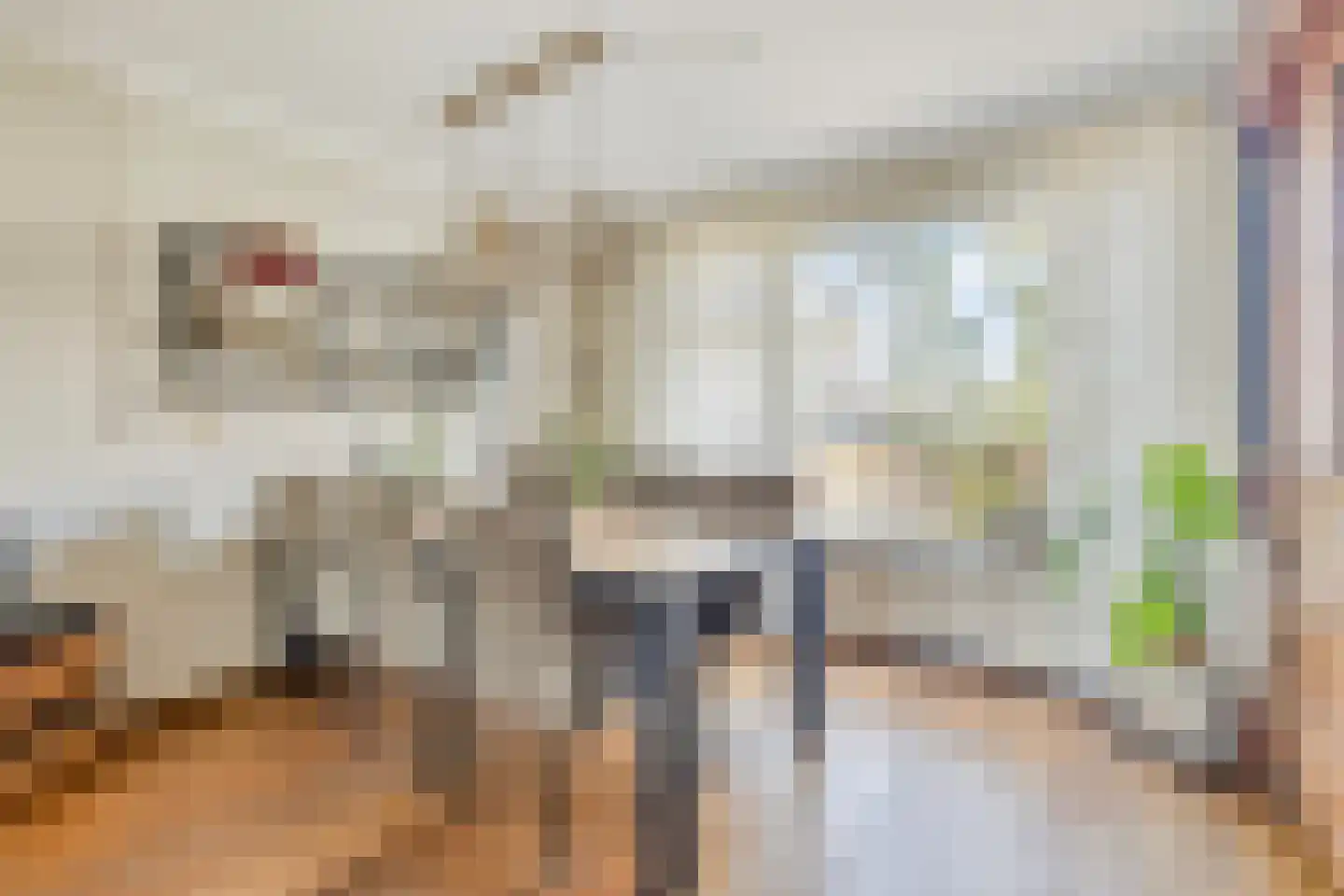 Van Loëstraat 33 Gemert thumbnail 14
