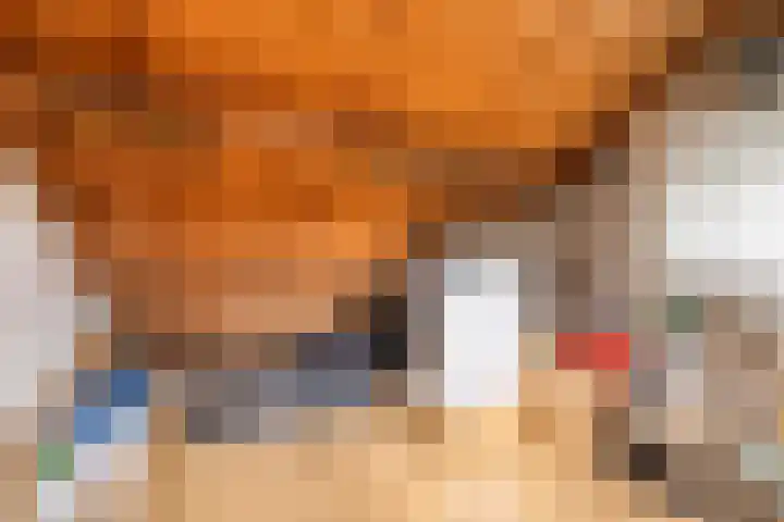 Van Loëstraat 33 Gemert thumbnail 32