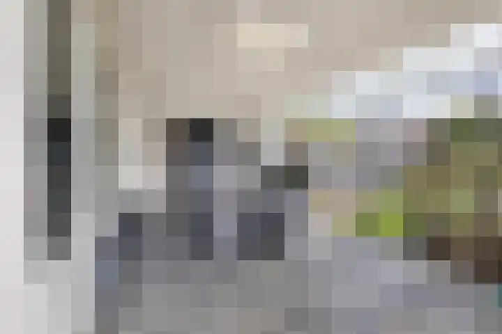 Van Loëstraat 33 Gemert thumbnail 34