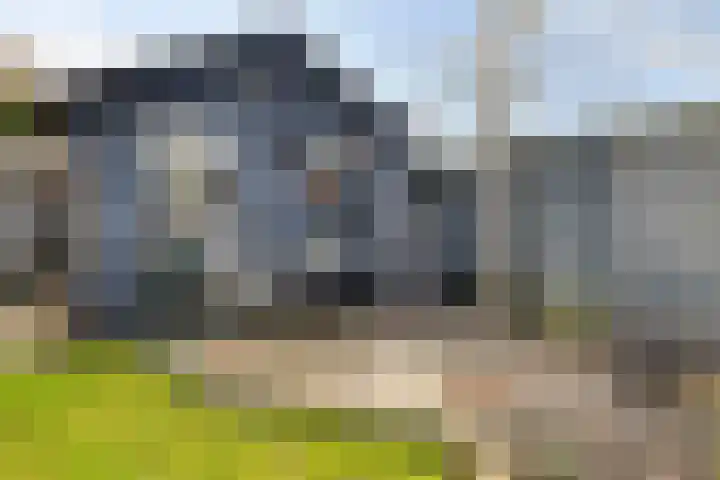 Van Loëstraat 33 Gemert thumbnail 35