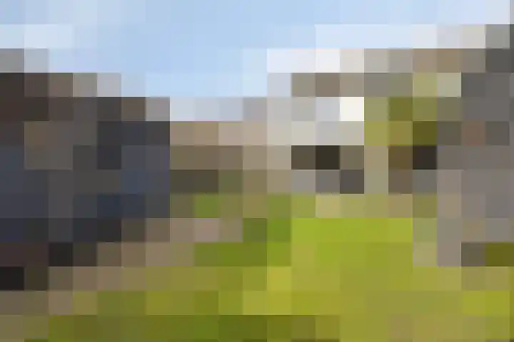 Van Loëstraat 33 Gemert thumbnail 36