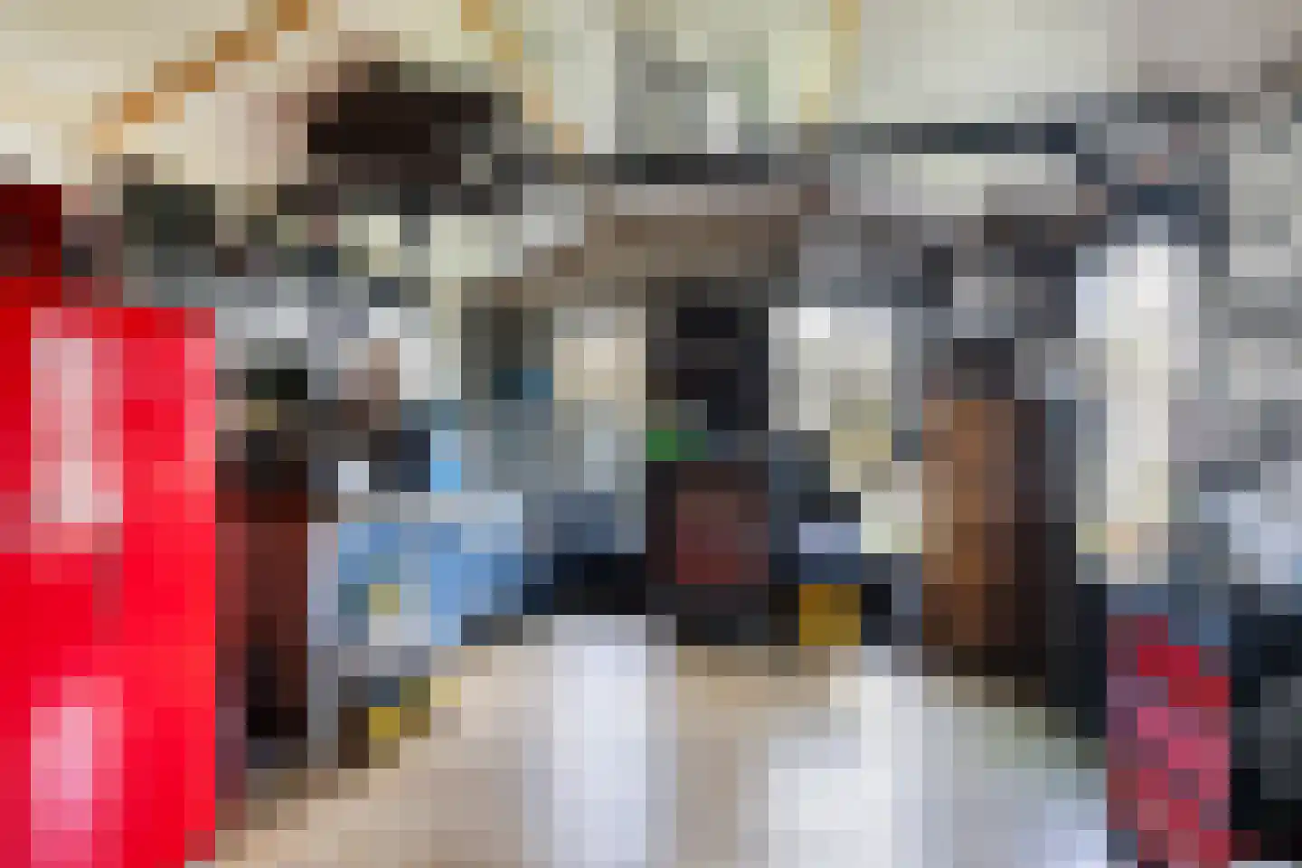 Van Loëstraat 33 Gemert thumbnail 38