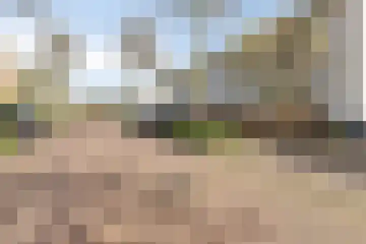 Van Loëstraat 33 Gemert thumbnail 8